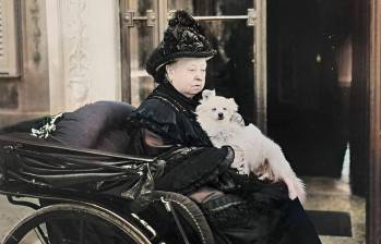 Los más de 80 perros reales de la reina Victoria