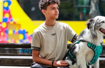 Estos son los perros que peor se adaptan a la vida en la ciudad