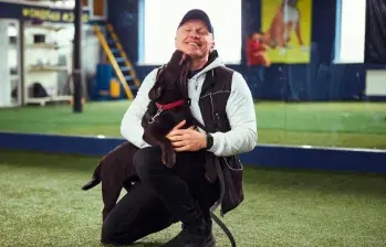 ¿Tu perro te quiere o solo te tolera? ¡La ciencia responde!