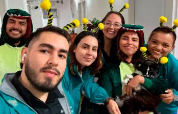 Michín, el gato que se robó el corazón de todos en Campo Valdés