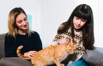 ¿Por qué les hablamos a nuestras mascotas?