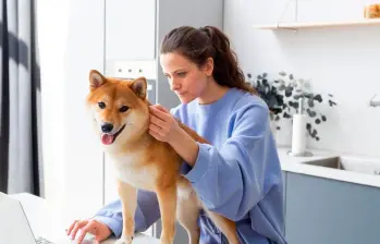 Veterinarios en línea: La nueva era de la salud digital para mascotas