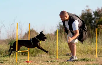 Los cinco deportes para perros más populares