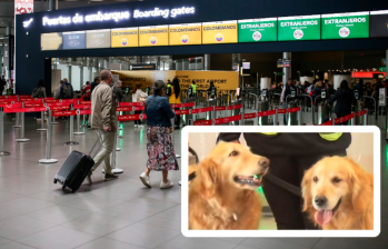Dos perros de seguridad del aeropuerto El Dorado se jubilaron