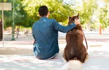 Cómo superar la “depresión del cachorro” ¡Claves para cuidadores! 