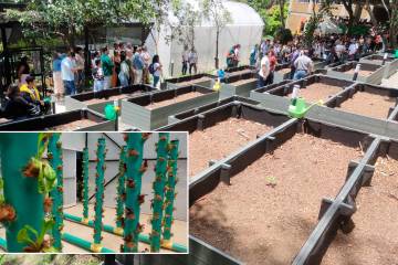 Universidad antioqueña inauguró campus para aportar a la soberanía alimentaria y a la agricultura sostenible