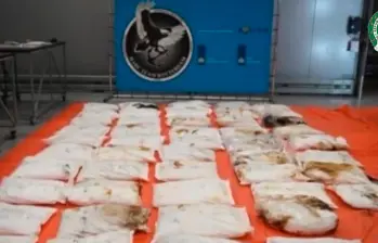 Estos son los 48 bultos de melaza mezclada con cocaína, que salieron de Buenaventura (Valle) y fueron decomisados en Países Bajos. FOTO: Tomada de video Policía
