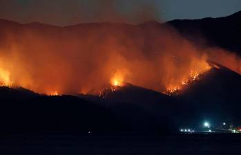 El incendio inició el 26 de febrero en la localidad de Ofunato y ha arrasado con 2.600 hectáreas de vegetación del país nipón. FOTO: AFP