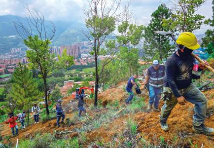 Hasta por 14 millones de pesos venden terrenos en el Cerro Quitasol, en Bello