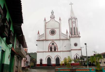 ¿Qué pasa en Nariño, Antioquia?: en zona rural, un exconcejal fue asesinado por hombres armados