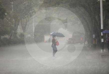 Volvió a llover en Medellín y en el sur del Valle de Aburrá: hay nivel rojo en quebradas y en Laureles se cayó un árbol