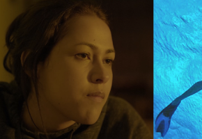 “Raíces azules” y “Al ritmo del agua” son dos películas colombianas que estarán presentes en las carteleras de las salas de cine colombianas. Foto: Colprensa