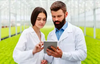 Con 20 años de trayectoria, Cartama continúa creciendo y generando empleo formal en el campo colombiano a través de su modelo de producción sostenible. FOTO: GETTY