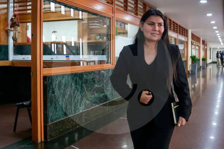 Karen Manrique, otra detenida por escándalo de la UNGRD, tampoco podrá posesionarse como congresista