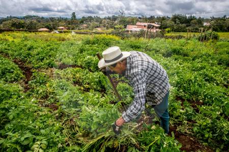 Agricultores alertan falta de garantías jurídicas en proyecto de Jurisdicción Agraria y Gobierno acelera su trámite