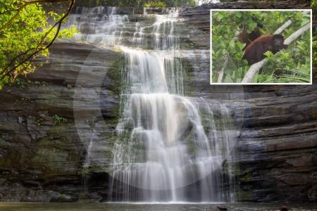 Los Katíos, el fascinante parque entre Chocó y Antioquia, se abrirá después de 30 años