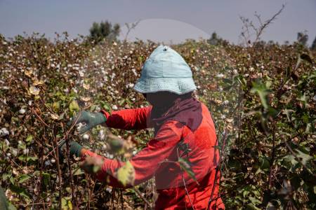 Actividad económica colombiana se frenó en agosto: en rojo la agricultura y la minería