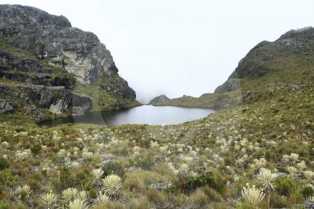 Gobierno revoca zona de reserva alrededor del páramo de Santurbán, ¿qué cambia?