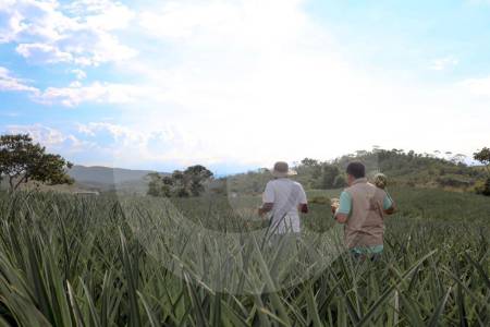 Paro campesino por avalúos catastrales: qué pasó, por qué subió el predial y qué viene tras los acuerdos