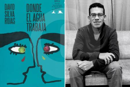 ¿La IA es el nuevo juez de la literatura? Alucinaciones y preguntas en el caso de la novela <i>Donde el agua trabaja</i>