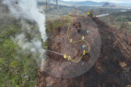 Ya son 23 los incendios forestales registrados en el Oriente antioqueño por el fenómeno de El Niño