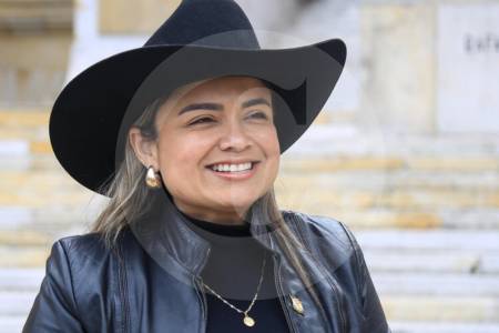 “Gobierno hizo realidad un plan macabro para debilitar a las Fuerzas Militares”: Lina Garrido