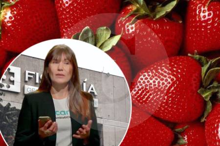 Propina al domiciliario y envío por “la del pelo rojo”: las nuevas pistas en caso de envenenamiento con talio en frambuesas