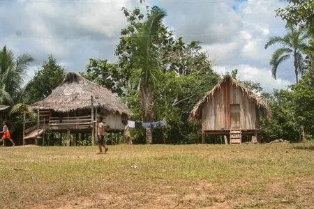 Alarmante descubrimiento: detectan altos niveles de plomo en la sangre del 95% de indígenas en el Amazonas