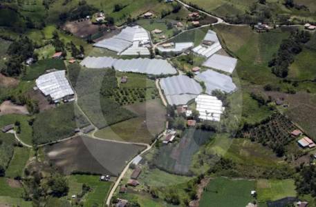 ‘Tierreros’ se apoderaron de 700 hectáreas de predios del Ejército en Tolima y Cundinamarca