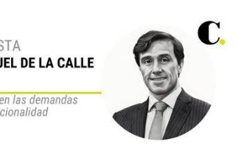 La admisión en las demandas de inconstitucionalidad