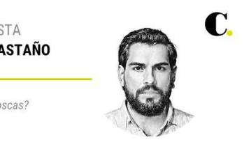 ¿Abejas o moscas?