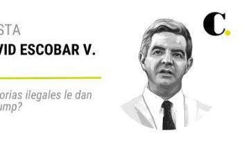 ¿Aves migratorias ilegales le dan la razón a Trump?