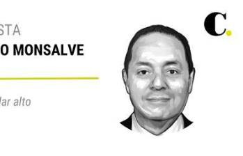 Paloma, a volar alto