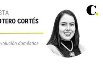 La esquiva revolución doméstica