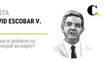 ¿Usted cree que el gobierno no ejecuta solo porque es inepto?