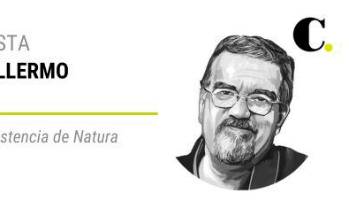 Sobre la persistencia de Natura