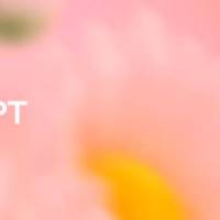 Health puede conectarse a historias clínicas y aplicaciones de bienestar. FOTO: OpenAI