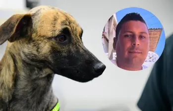 El agresor de Bizcocho, lo habría golpeado con un látigo, causándole secuelas neurológicas y de tipo comportamental. FOTO: Cortesía Gobernación de Antioquia