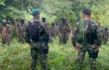 “Los Pachencas” o Autodefensas de la Sierra están en guerra contra el Clan del Golfo. FOTO: TOMADA DE VIDEO.