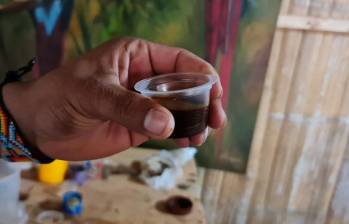 La bebida indígena conocida como yagé o ayahuasca es tradicional en países como Colombia y Perú; sin embargo, en México puede ir a la cárcel por poseer esta bebida. Foto: Santiago Olivares Tobón