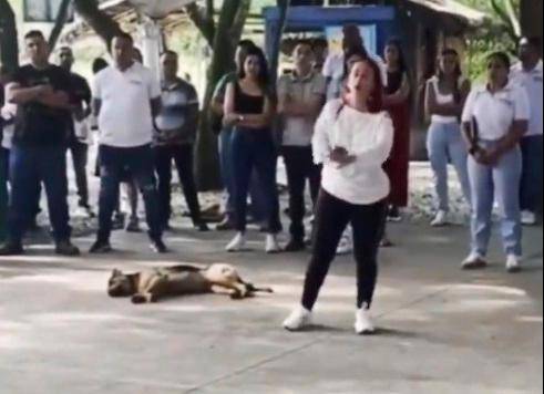 La funcionaria increpó al alcalde por su decisión de no permitir que les siguieran echando comida a los perros dentro de la sede gubernamental. IMAGEN CONGELADA DEL VIDEO QUE ESTÁ EN X