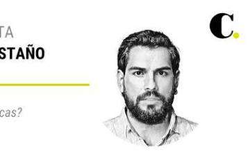 ¿Abejas o moscas?