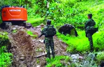 Las excavadoras del Clan del Golfo removieron 30.000 metros cúbicos de suelo y cerca de 7.000 árboles antes de que el Ejército desmantelara la mina. La recuperación tomará al menos 30 años. FOTO cortesía