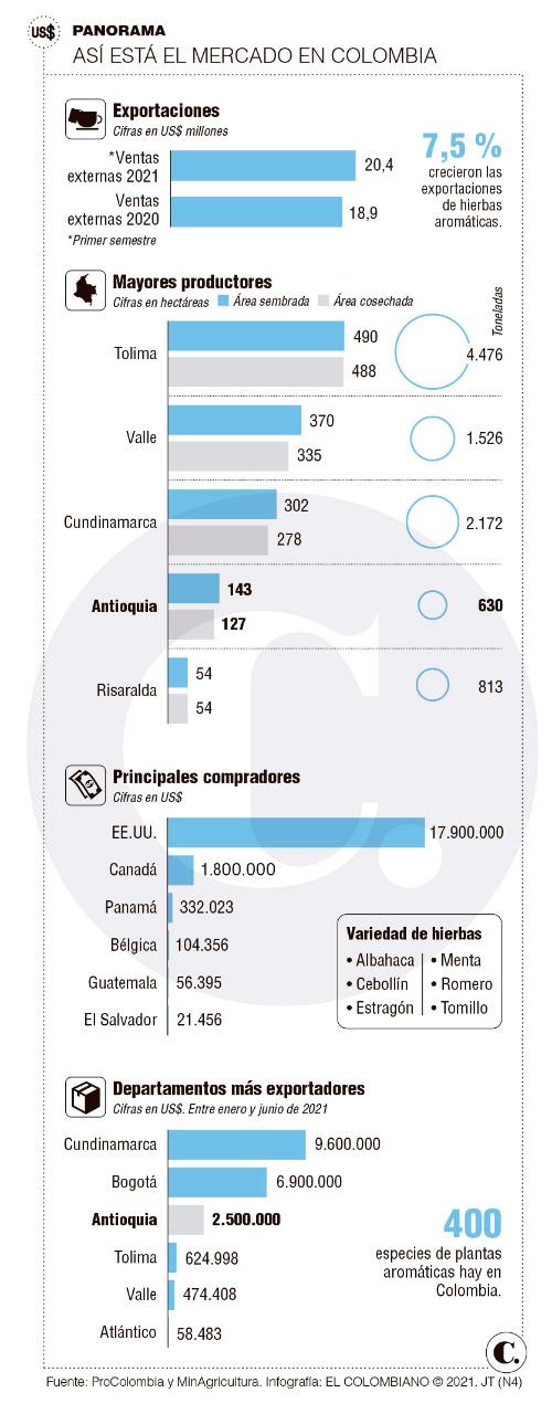InfogrÃ¡fico