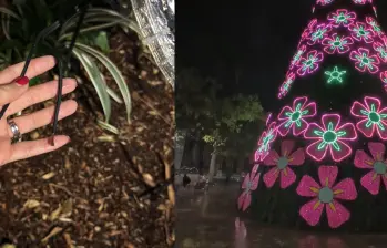 Entre los casos más graves están los robos reportados en el Árbol de Navidad de la Plaza Botero, donde los vándalos se robaron 65 metros de cable dúplex. FOTO: Cortesía EPM