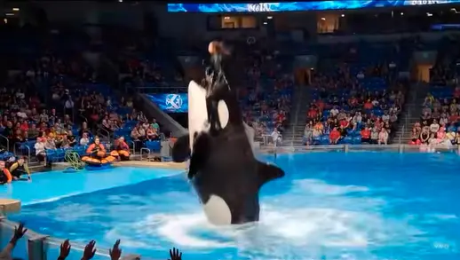 Este es el video que se ha hecho viral en los últimos días. FOTO Captura de pantalla