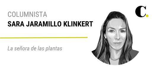 La señora de las plantas