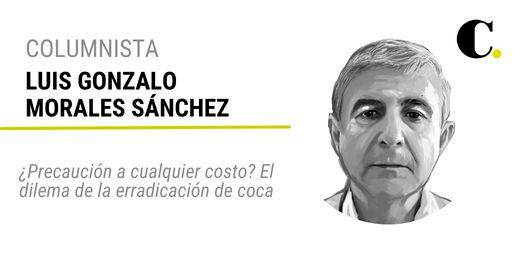 ¿Precaución a cualquier costo? El dilema de la erradicación de coca