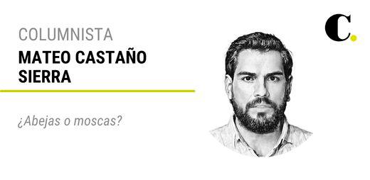 ¿Abejas o moscas?