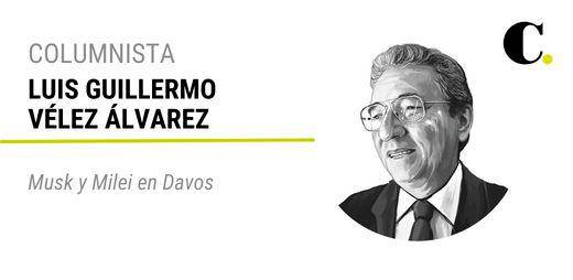 Musk y Milei en Davos